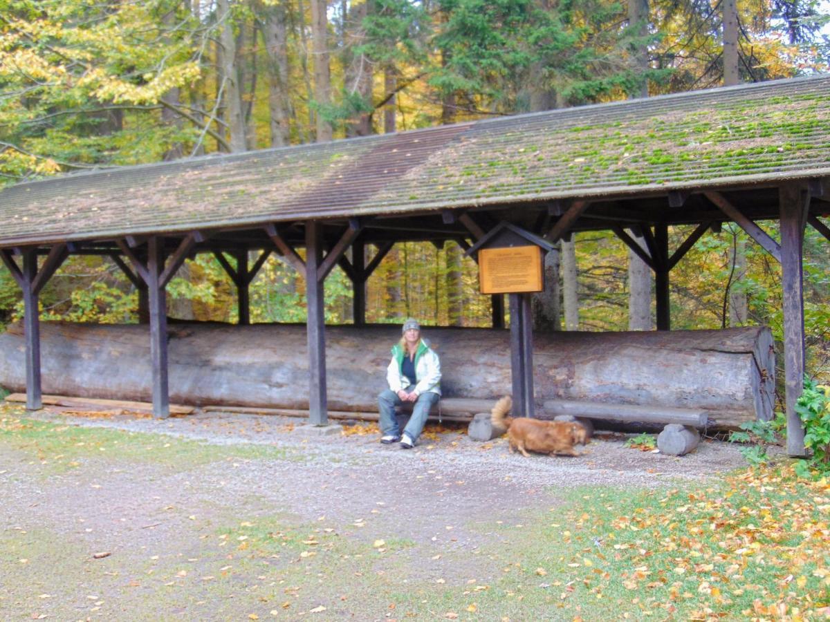 Retro Kemp Pod Boubinem Horní Vltavice Exteriör bild